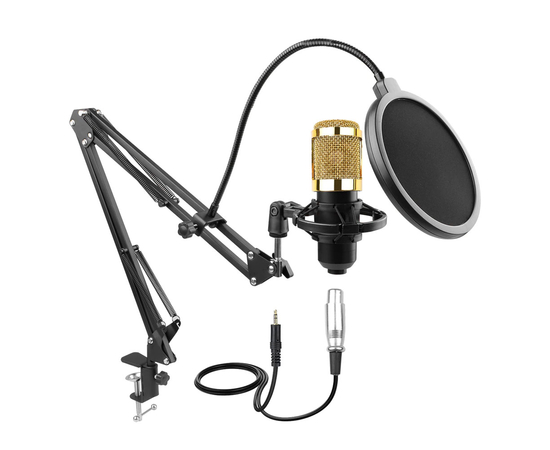 Мікрофонний набір HL AUDIO BM-800