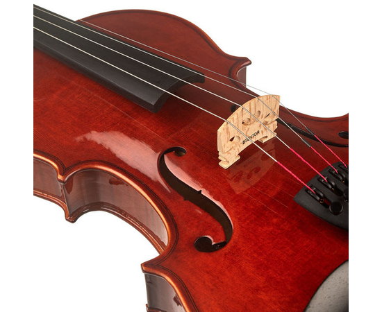 Скрипка STENTOR 1550/A CONSERVATOIRE VIOLIN OUTFIT 4/4