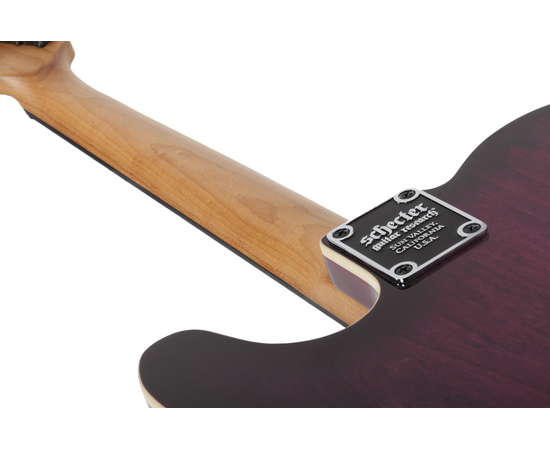 Электрогитара SCHECTER PT Pro TPB
