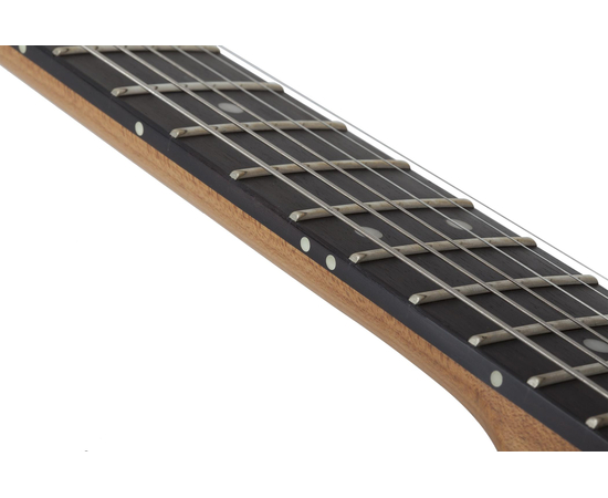 Электрогитара SCHECTER PT Pro TPB