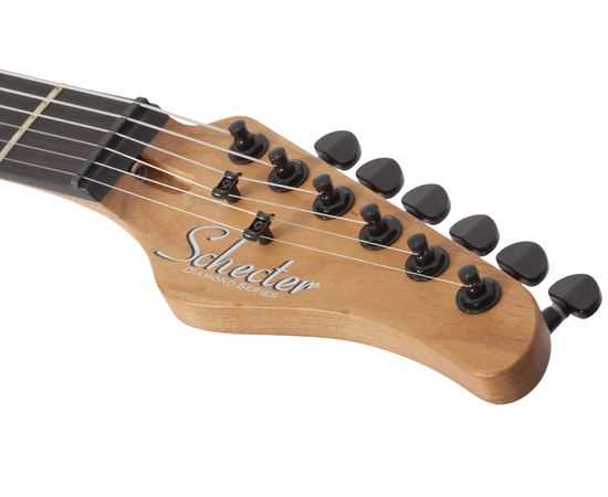 Электрогитара SCHECTER PT Pro TPB