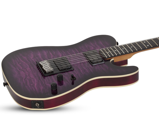 Электрогитара SCHECTER PT Pro TPB
