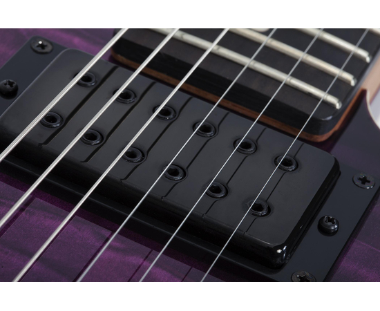Электрогитара SCHECTER PT Pro TPB