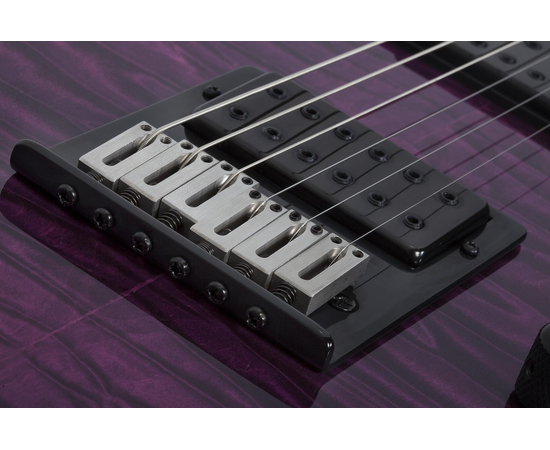 Электрогитара SCHECTER PT Pro TPB