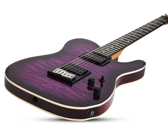 Электрогитара SCHECTER PT Pro TPB