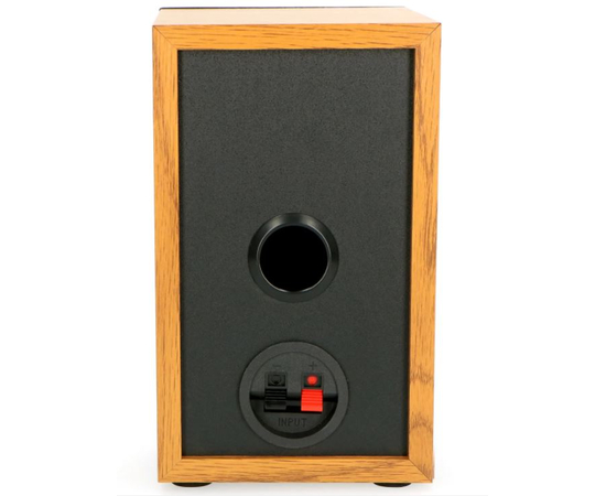 Вініловий програвач Lenco LS-300WD