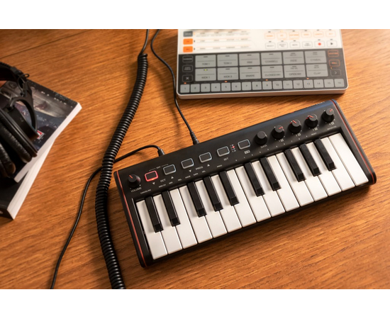 MIDI-клавиатура IK MULTIMEDIA iRIG KEYS 2 Mini