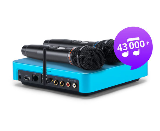 Караоке-система с микрофонами Evolution (EVOBOX Plus + SE-201D)