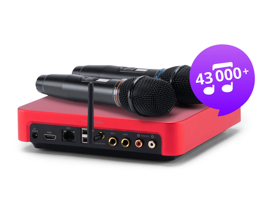 Караоке-система с микрофонами Evolution (EVOBOX Plus + SE-201D)