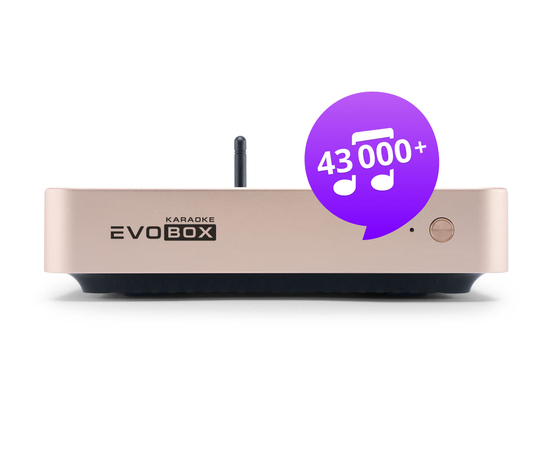 Караоке-система с микрофонами Evolution (EVOBOX Plus + SE-201D)