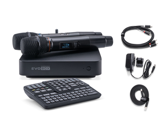 Караоке-система с микрофонами Evolution (EVOBOX Plus + SE-201D)