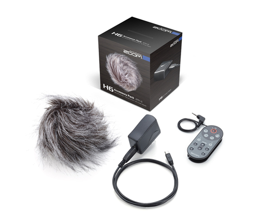 Рекордер Zoom H6 SET