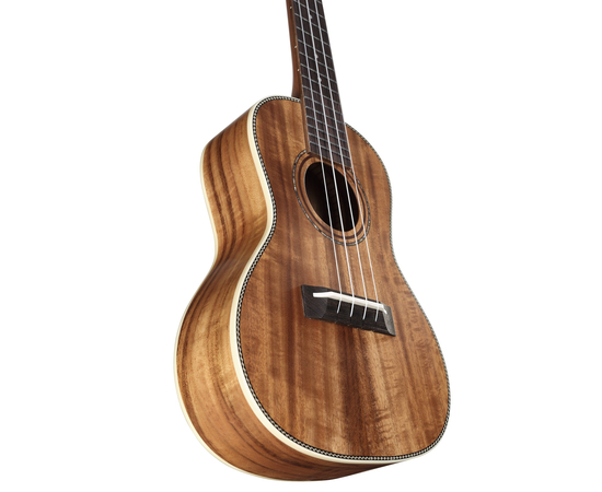 Укулеле концерт Alvarez AU90CУкулеле концерт Alvarez AU90C