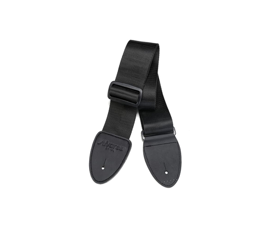 Гитарный набор Alvarez RF26SSBAGP