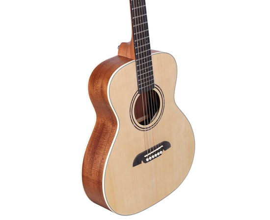 Акустична гітара Alvarez RS26