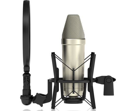 Мікрофон Tannoy TM1