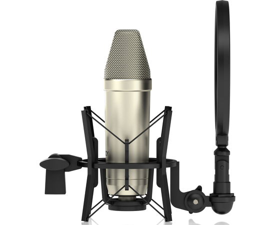 Мікрофон Tannoy TM1