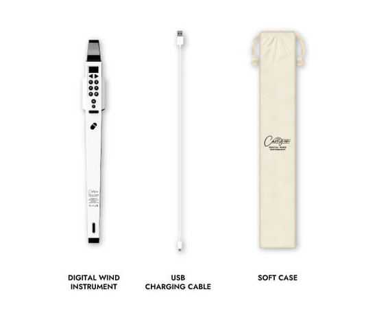 Цифровий духовий інструмент Blackstar Carry-On White