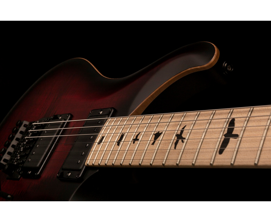 Электрогитара PRS DW CE 24 FLOYD (Waring Burst)