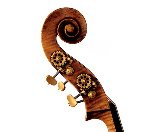 Контрабас Pöllmann Guarneri