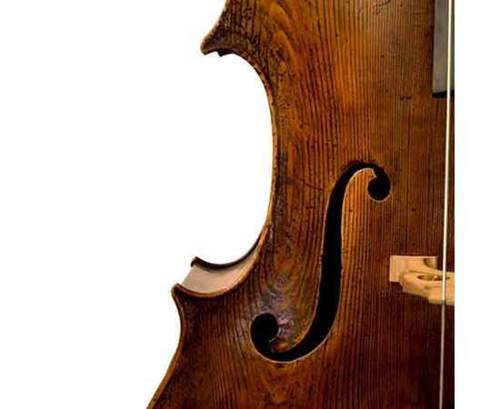 Контрабас Pöllmann Guarneri
