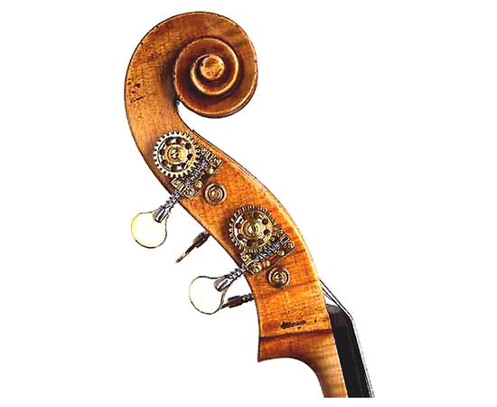 Контрабас Pöllmann Verona