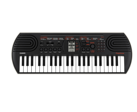 Детский синтезатор Casio SA-81 - 153250 за 4080 грн. | 4Club