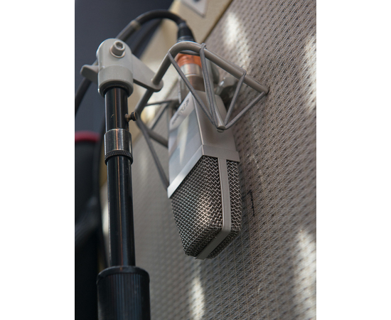 Пара микрофонов sE Electronics T2(P)