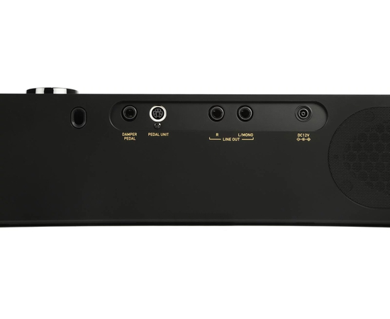 Цифрове піаніно Casio PX-S5000BK