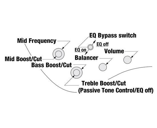 Пятиструнная бас-гитара IBANEZ EHB1505MS-BIF