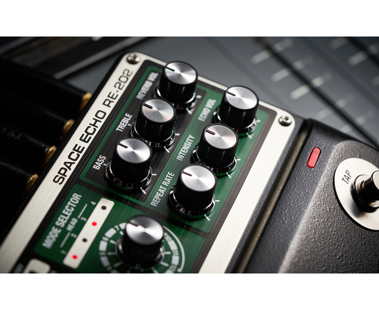 Процесор ефектів Boss RE-202 Space Echo