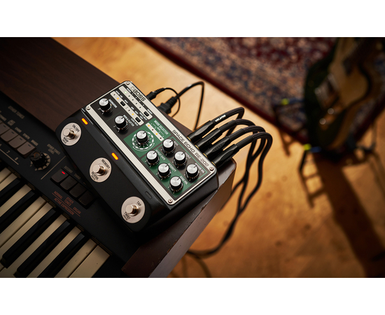 Процесор ефектів Boss RE-202 Space Echo