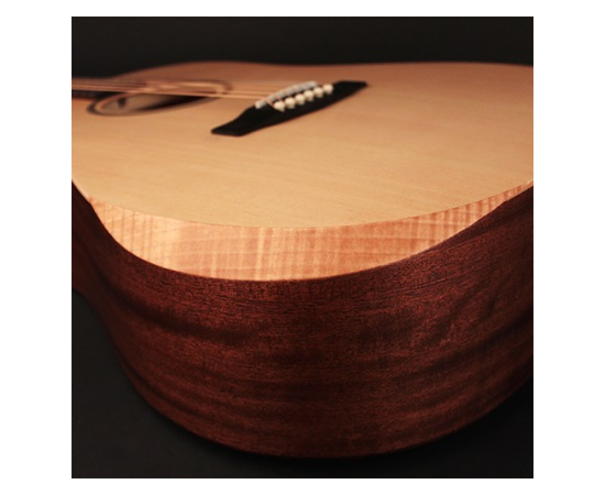 Акустическая гитара CORT Earth Bevel Cut (Open Pore)