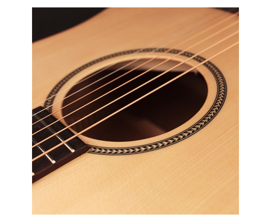 Акустическая гитара CORT Earth Bevel Cut (Open Pore)