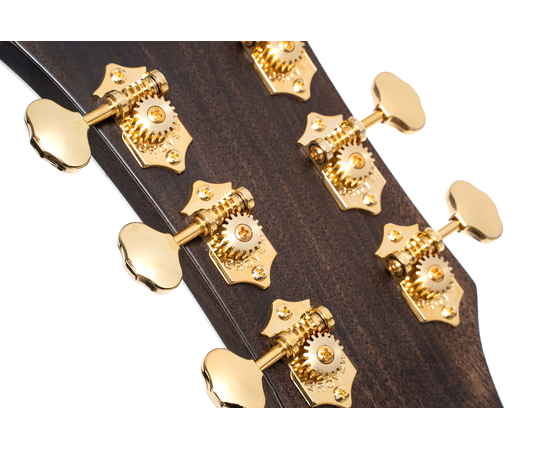 Акустична гітара CORT GOLD-D8 (Light Burst)