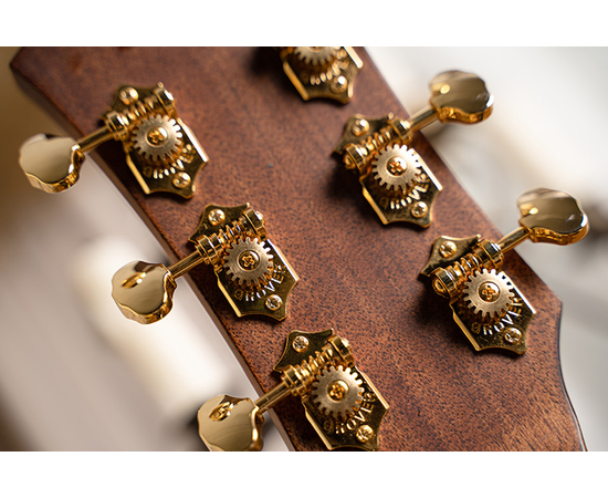 Електроакустична гітара CORT GOLD-DC6 (Natural)