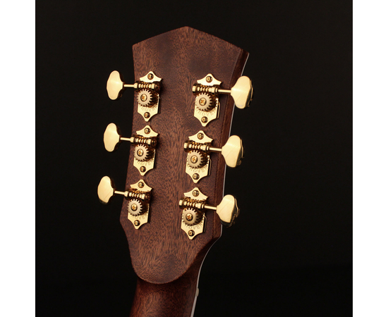 Электроакустическая гитара CORT GOLD A8 (Light Burst)