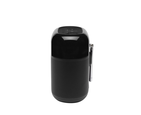 Портативний радіоприймач JBL TUNER XL (JBLTUNERXLBLKEU)