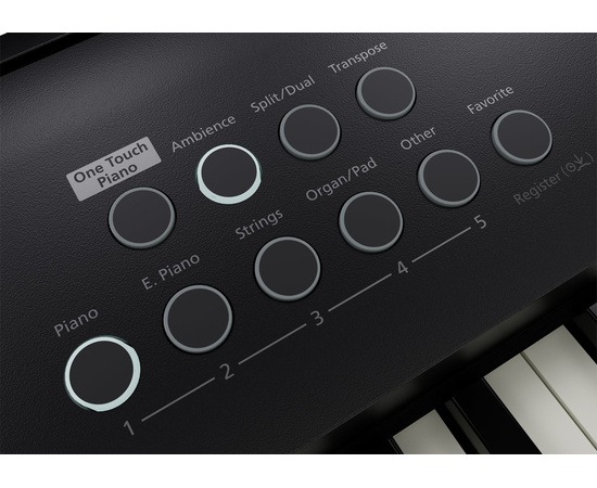 Цифрове піаніно Roland FP-E50