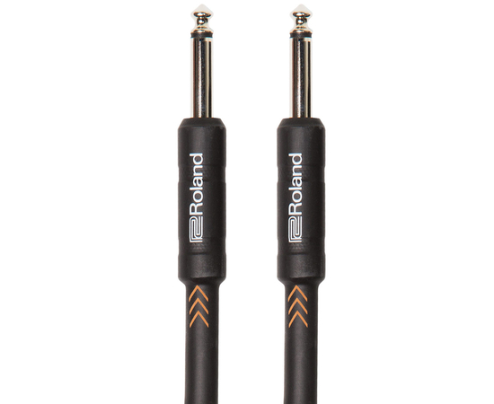 Инструментальный кабель Roland RIC-B5 - 153840 за 0 грн. | 4Club