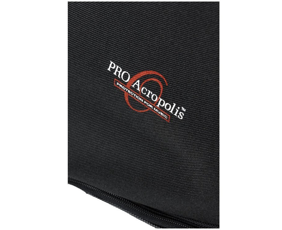 Чохол для бандури Acropolis АБЧ-1Н (Чернігівська)