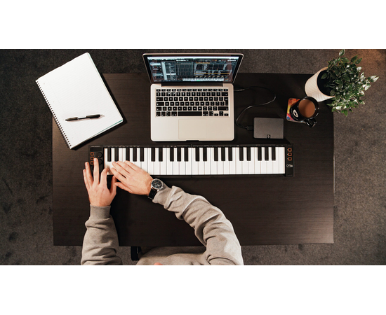 Розкладна MIDI-клавіатура Blackstar Carry-on Folding Controller (49 клавіш) Black