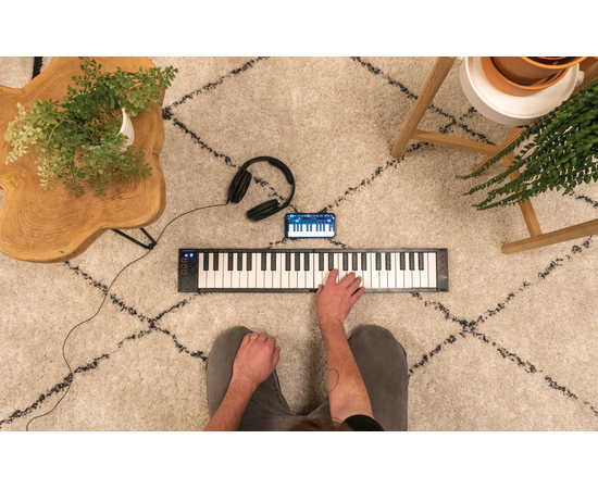 Розкладна MIDI-клавіатура Blackstar Carry-on Folding Controller (49 клавіш) Black