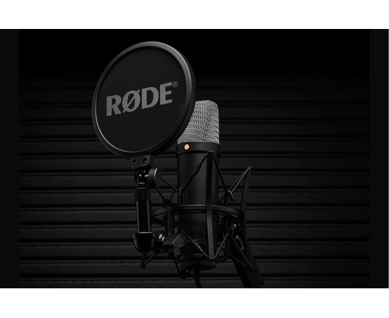 Студийный микрофон RODE NT1GEN5B