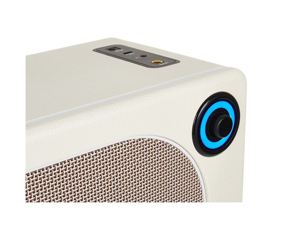 Комбопідсилювач MOOER HORNET 15I (WHITE)