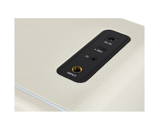 Комбопідсилювач MOOER HORNET 15I (WHITE)