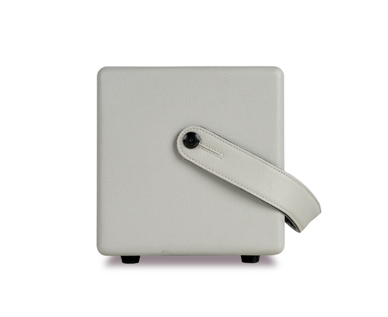 Комбопідсилювач MOOER SD30I