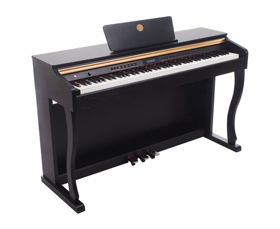 Цифровое пианино Alfabeto Concert (Black) - 155302 за 0 грн. | 4Club