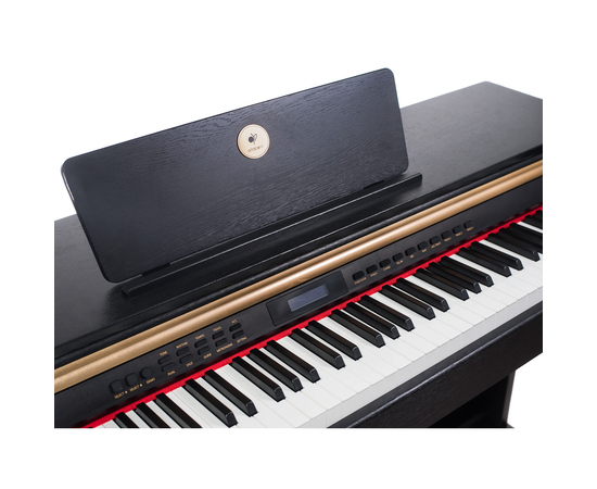 Цифровое пианино Alfabeto Concert (Black)