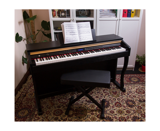 Цифровое пианино Alfabeto Concert (Black)